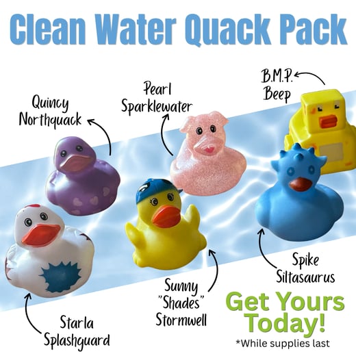 CWCW Duck Giveaway ducks